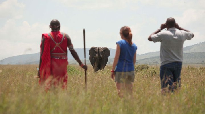 Sarova Mara Game Camp