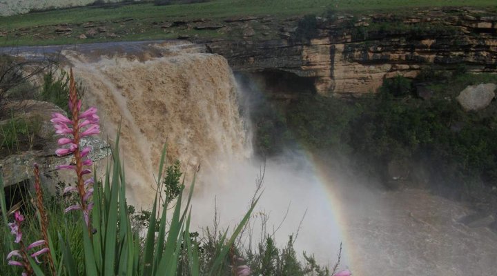 The Falls Backpackers & Adventures