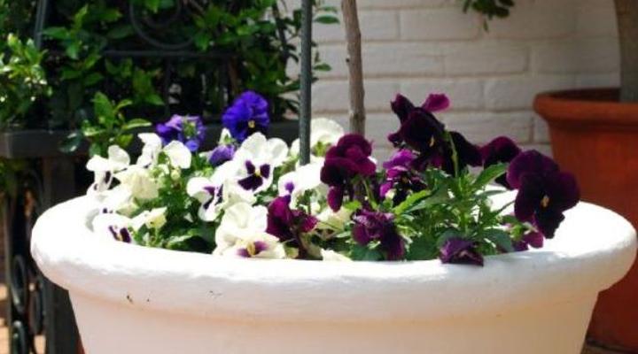 Carina's Bed and Breakfast