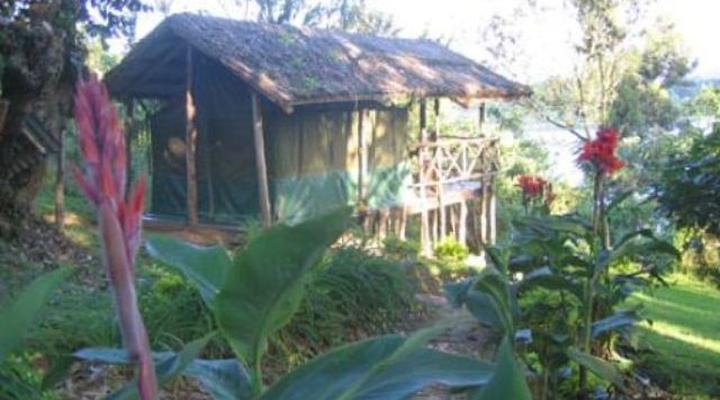 Nature's Prime Island