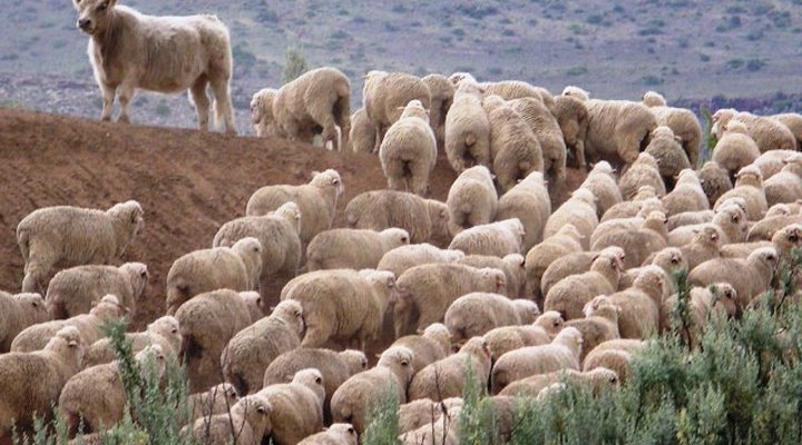 Wellwood Farm - Trymore Cottage