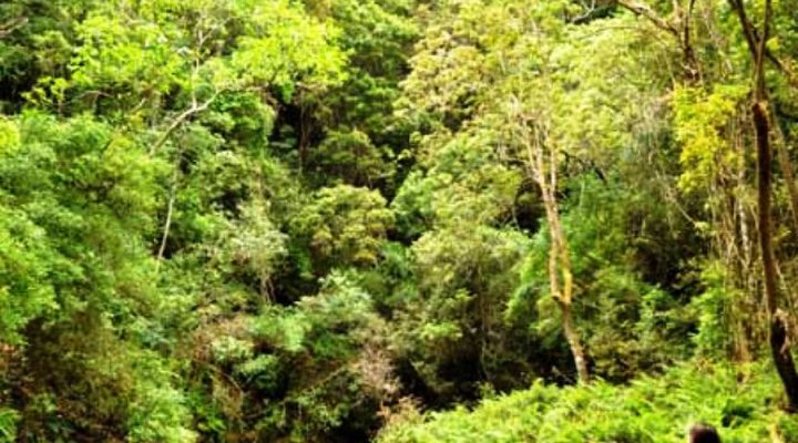 Katuri Country Cottages