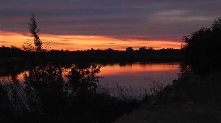 Waterfront Guest Farm