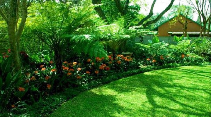 Clifton Corner Guesthouse