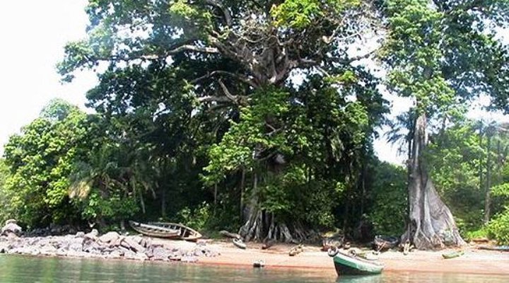 Banana Island Guest House