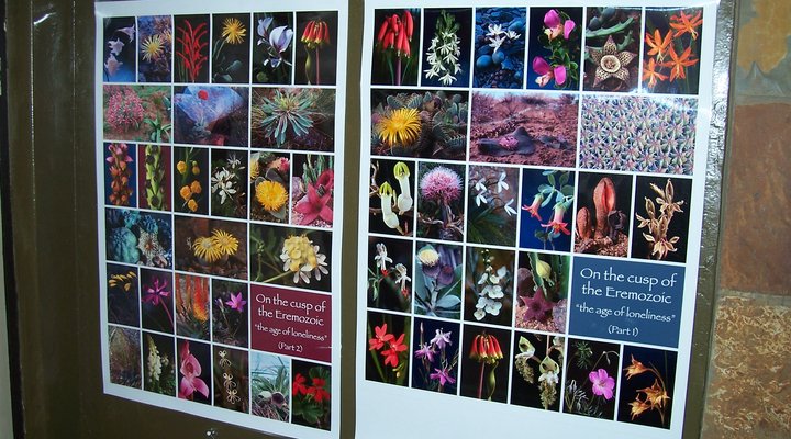 Mhambi - The Traveller B&B