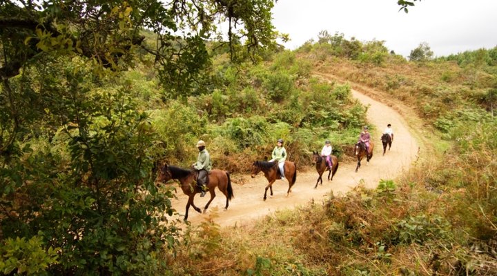 Mufindi Highland Lodge
