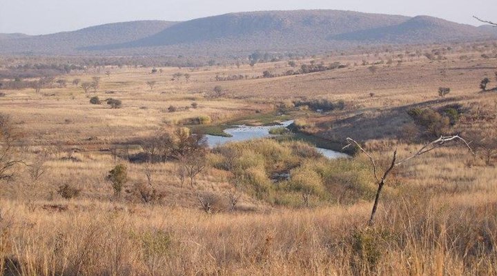The Bush Camp at Welgedacht