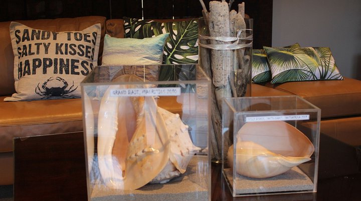 Cocomo Guesthouse and Conference Centre