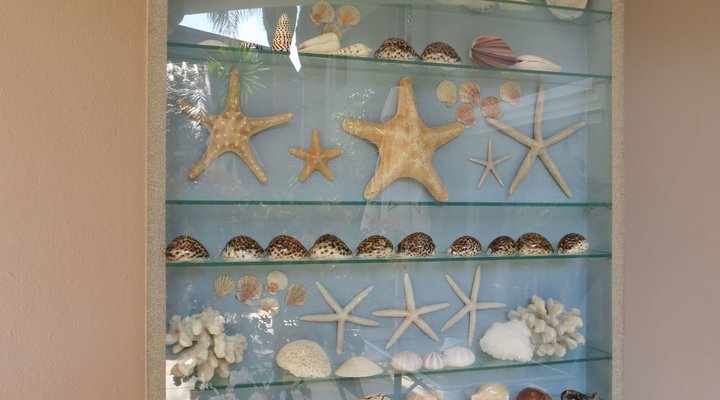 Cocomo Guesthouse and Conference Centre