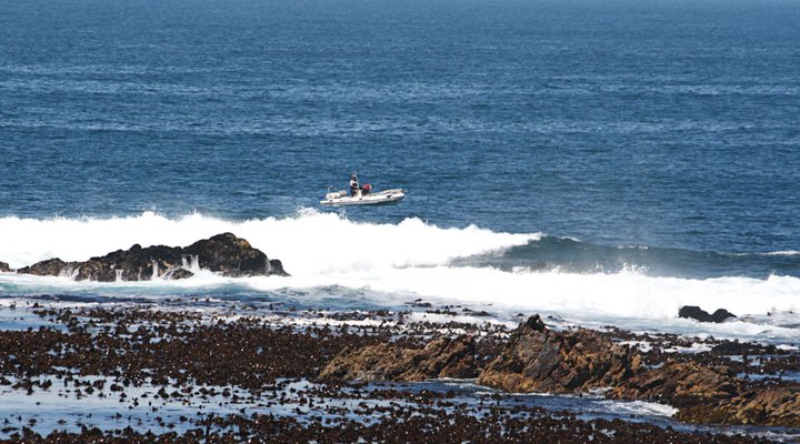 Hermanus | A Peace of Paradise