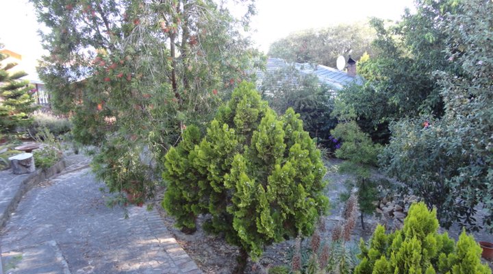 The Garden House