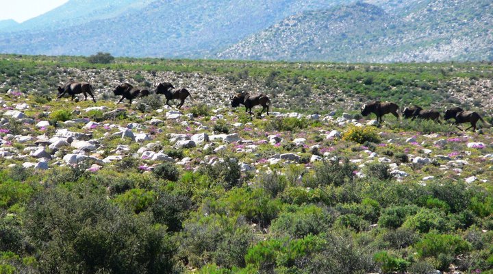 Oudekloof Guest House