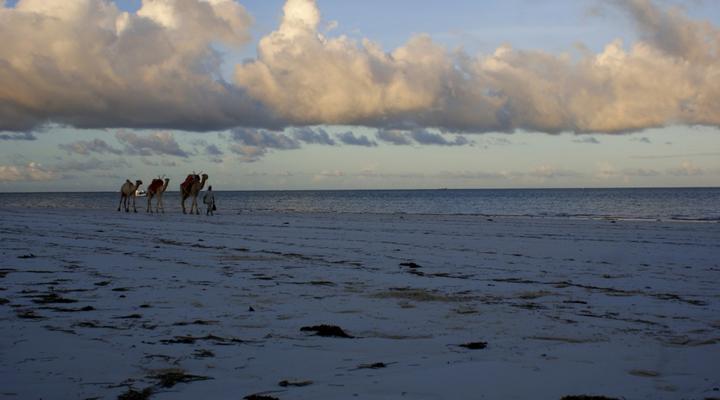 Villa Holly & Villa Dora