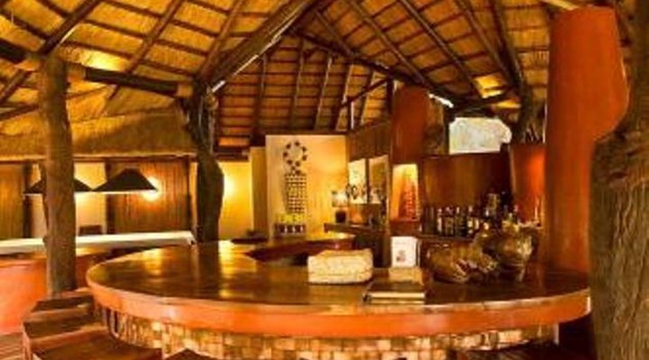 Lion Camp