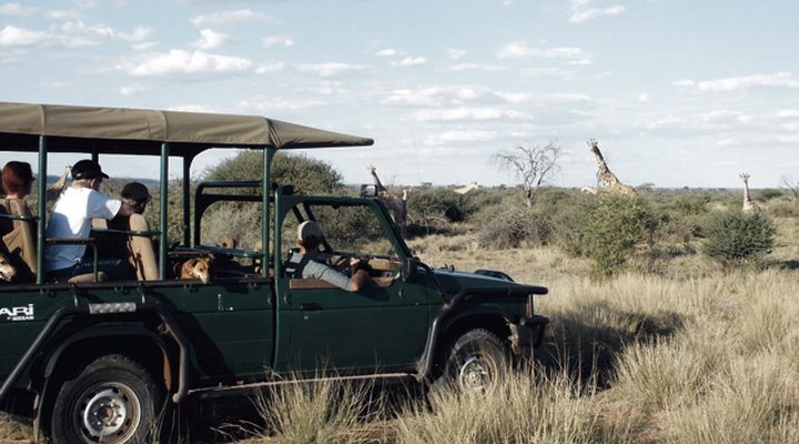 Okambara Elephant Lodge