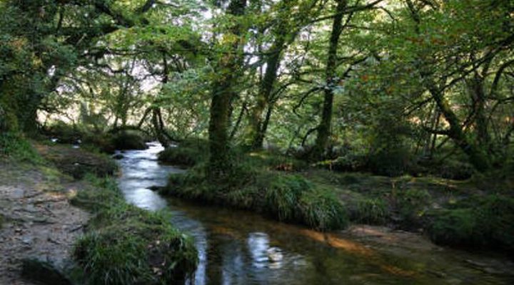 Middle Tremollett House