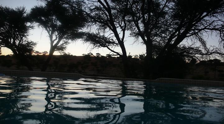 Kgalagadi Lodge