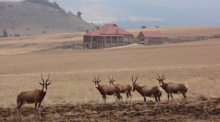 Dullstroom Country Estate's Stone Castle