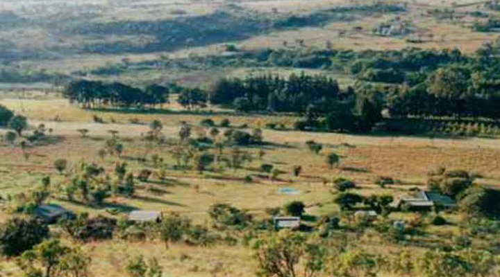 Bushwillows Bed and Breakfast