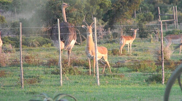 The Hexagon Guesthouse & Wildlife Conservation