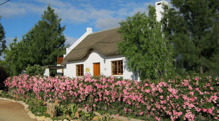 Karoo Cottage McGregor