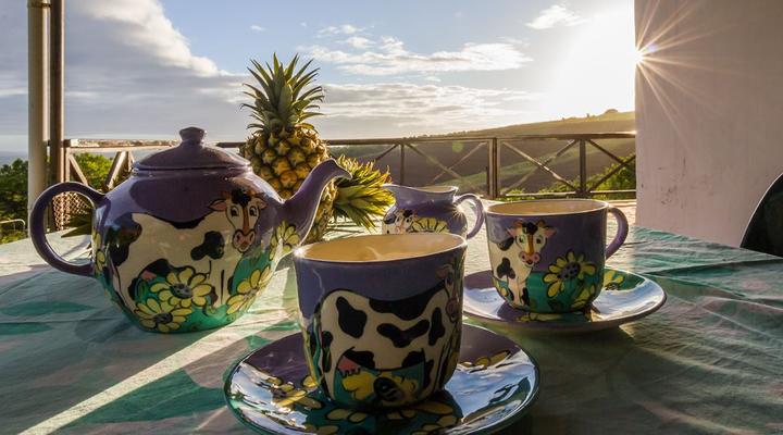 The Milking Parlour, Belton Farm
