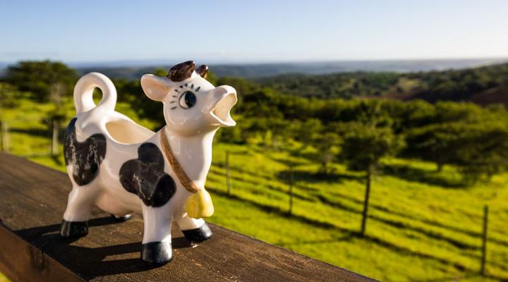 The Milking Parlour, Belton Farm