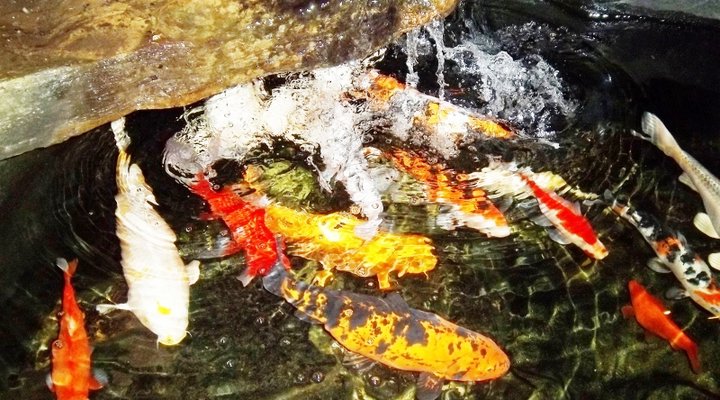 Dai Heka Guest House