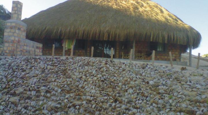 Horizonte Beach Chalets