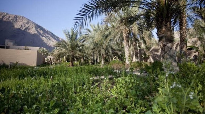 Six Senses Zighy Bay