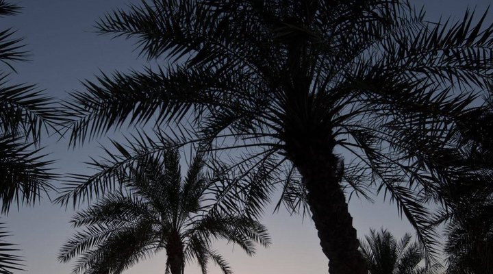 Six Senses Zighy Bay