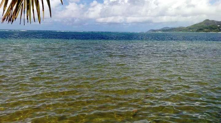 Manivelle Self-catering Apartment