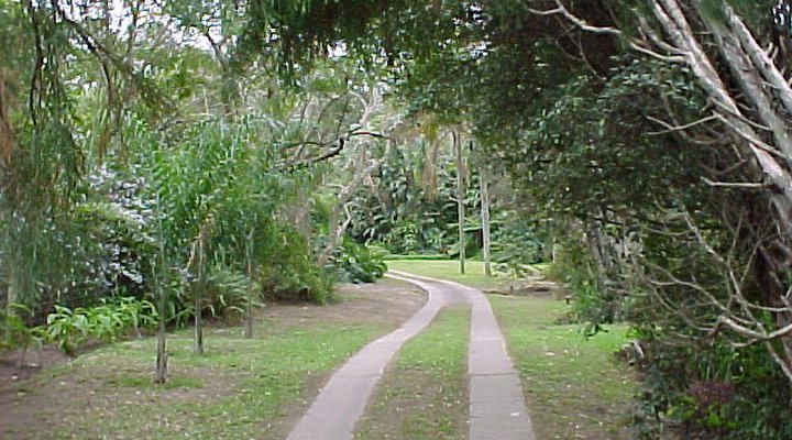 Petla's Place