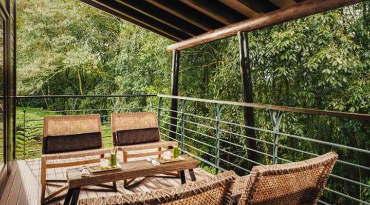 One&Only Nyungwe House