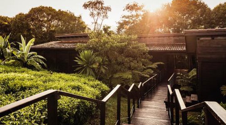 One&Only Nyungwe House