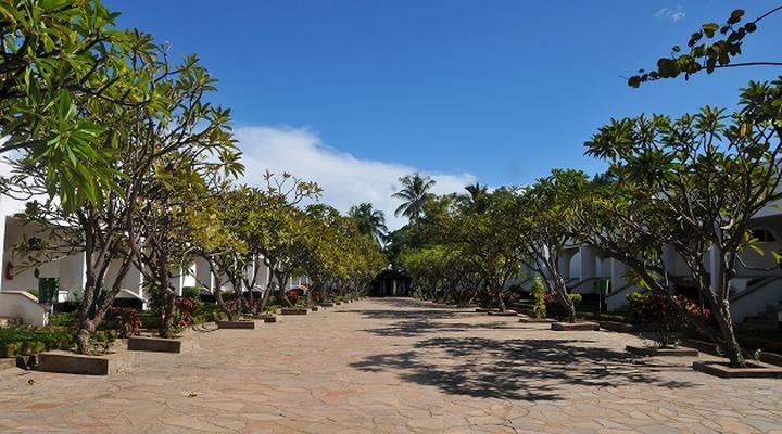 Manchinchi Bay Lodge