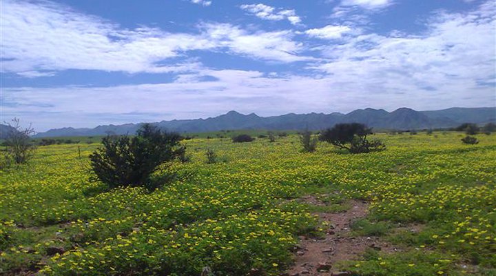 Spreetshoogte Campsite