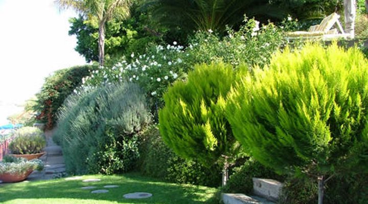 A Riviera Garden B&B