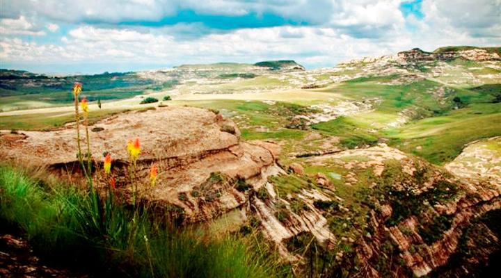 Boshoek Bass Cottage