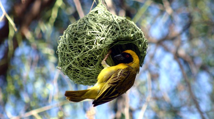 Calitzdorp Railway Station