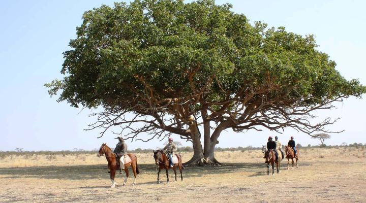 Chengeta Safari Lodge
