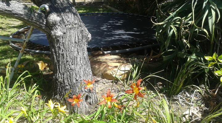 A2 OceanView Guest House