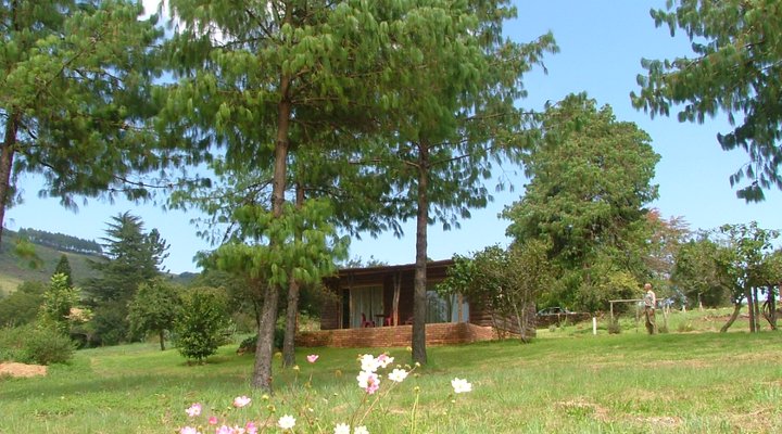 Black Forest Mountain Lodge