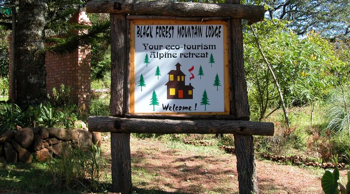 Black Forest Mountain Lodge