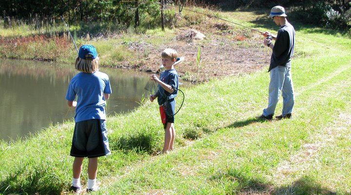 Black Forest Mountain Lodge
