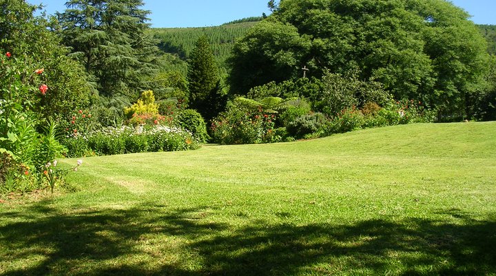Black Forest Mountain Lodge