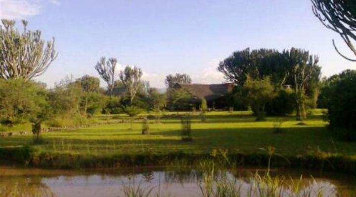 Mbweha Safari Camp