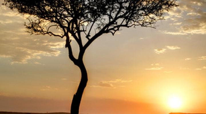 Mara Ngenche Safari Camp