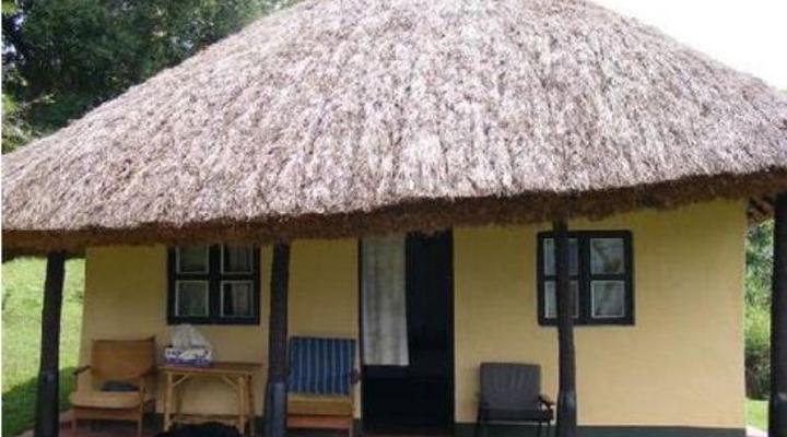 Chimpanzee Forest Guest House